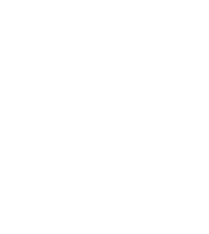 svgexport 1.png